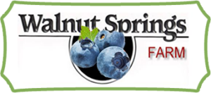 Walnut Springs Farm | U-Pick Blueberries & Black Raspberries